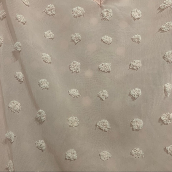Women’s Light Pink C+D+M Collection Short Sleeve Sheer Swiss Dot V-Neck Blouse - Picture 3 of 6